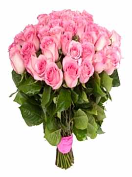 41 Pembe Gülden Buket