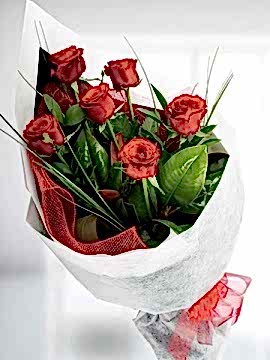 6 Kırmızı Gül Buketi