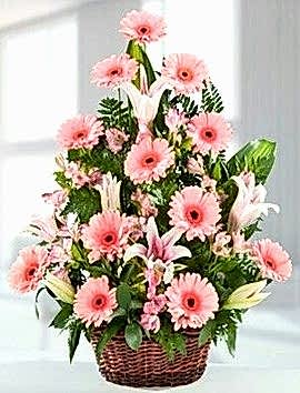 Arajman Pembe çiçek sepette