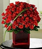 200 Adet Kırmızı Gonca Gül