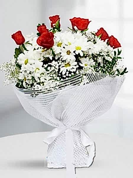 Kırmızı Gül ve Papatya