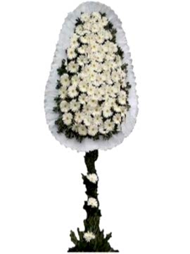 Tek Katlı Beyaz Duvak