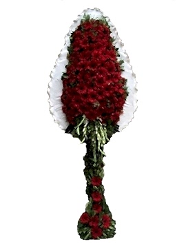 Tekli Kırmızı Duvak 2