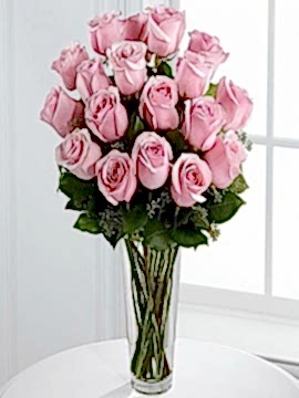 Vazoda 17 Peembe Gül