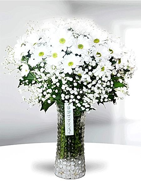 ankara çiçekçi papatya