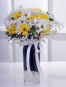 Vazoda Sarı Beyaz Papatyalar