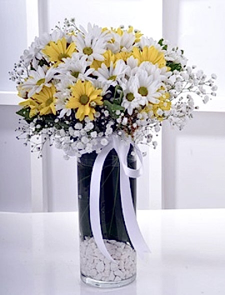 Vazoda Sarı Beyaz Papatyalar
