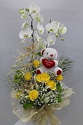 Gül Orkide Ayıcık