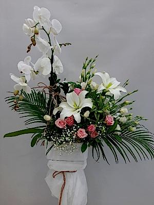 Orkide Çiçek Aranjmanı