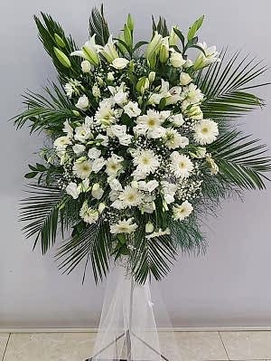 Beyaz Gerbera Ferforje Düğün Açılış