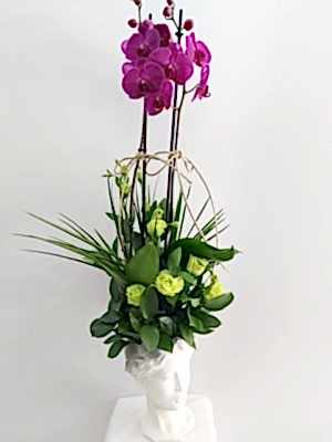 Orkide Lisyantus Aranjmanı